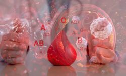 En tehlikeli kan grubu hangisi? Hastalıkların kanında gizli olabilir