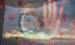 Dünya alarmda: Bu mantar kontrolden çıktı! 60 ülkeye yayıldı