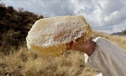 Ilgaz balı tarihe geçti: 1 kilosu 558 bin TL’ye satıldı, Guinness’e girdi