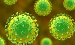 Nipah virüsü nedir, belirtileri neler? Nipah virüsü Türkiye'de var mı, öldürür mü? Tedavisi var mı?