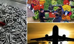 Hangi ürünler Aralık’ta cep yaktı, hangi ürünler ucuza geldi?