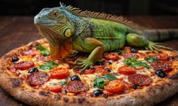Vicdansız pizza! Bir bu eksikti: İguana etli pizzaya yoğun talep şaşırttı!