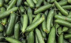 CHP'li milletvekilinden salatalık üzerinden 'hayat pahalılığı' paylaşımı