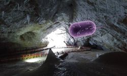 5 bin yıllık bakteri antibiyotiğe dirençli çıktı: Bilim dünyası endişeli!