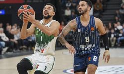 Anadolu Efes, Avrupa Ligi'nde galibiyet serisine devam ediyor