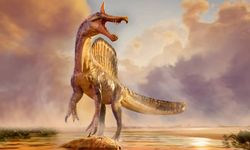 Sahra Çölü'nde devasa bir dinozor türü keşfedildi