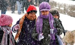 İki kentte eğitime kar molası!