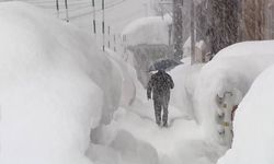 Japonya'da kar 4 metreyi aştı, 45 kişi hayatını kaybetti