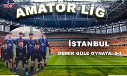 İstanbul Demir güle oynaya: 5-1