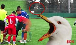 Kaleci martıyı vurdu, stoper kalp masajına koştu! Hayat kurtaran anlar kamerada!