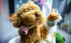 O telefon açılacak! Kediler ve köpekler için akıllı telefon... Sizi arayabilecek
