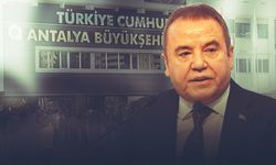 Böcek soruşturmasında flaş gelişme! Şoförleri gözaltına alındı