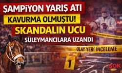 Mersin’de at eti skandalı büyüyor: Kavurma yapılan yarış atının izinden tarikat bağlantısı iddiası çıktı