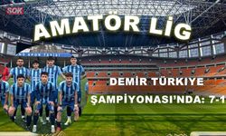 Demir Türkiye Şampiyonası’nda: 7-1