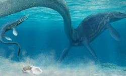 'Dev' 68 milyon yıllık yumurtanın gizemi: Uzmanlar şaşkın durumda...