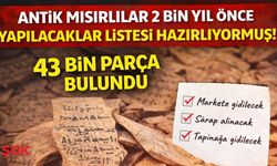 Antik Mısırlılar 2 bin yıl önce yapılacaklar listesi hazırlıyormuş! 43 bin parça bulundu