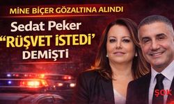 Sedat Peker’in rüşvet iddialarında adı geçmişti: Mine Biçer gözaltına alındı