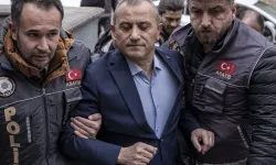 Gülistan Doku soruşturması: Eski vali hakkında tutuklama talebi