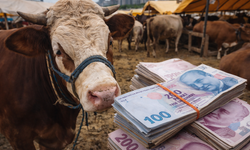 Kurban pazarında fiyat çılgınlığı! İstanbul’da fiyatlar ikiye katlandı