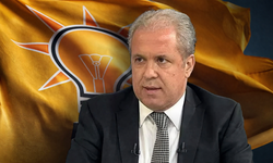 Şamil Tayyar’dan AK Parti’ye flaş seçim çağrısı: 'Özgür Özel'e evet deyin'