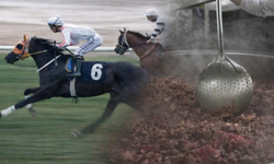 Yarış atı yediren firmadan ikinci skandal: Bu kadarına da 'Pes'