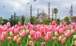 İstanbul Lale Festivali ne zaman, nerede yapılıyor? 2026 İstanbul Lale Festivali tarihleri