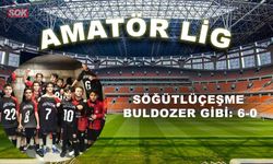 Söğütlüçeşme buldozer gibi: 6-0