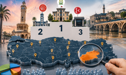 Ankette dikkat çeken sonuçlar! İstanbul, İzmir ve Diyarbakır listede öne çıktı