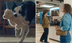 Bosch Anneler Günü reklamı neden kaldırıldı? Bosch Anneler Günü reklamı olayı nedir?
