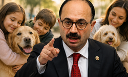 AK Partili vekilden köpek sahipleri ve hayvanseverlere küfür gibi sözler: 'Köpekçi terörü'