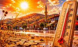 Türkiye’nin en sıcak ilçesinde bayram kabusu! Termometreler 46 dereceyi gördü