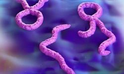 Kongo'da Ebola salgını sağlık krizi haline geldi! 'Kritik seviyeyi aştı'