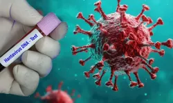 Dünyayı paniğe sürükleyen Hantavirüs'te yeni gelişme! Hollandalı kabin memurunun test sonucu belli oldu