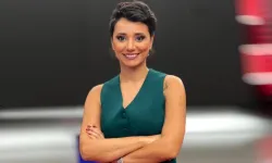 Gazeteci Şule Aydın’a 'ajanlık' ihbarıyla soruşturma: 'Tımarhane suç örgütü sayıldı'