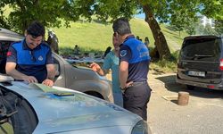 İstanbul'da sokakta kesime ceza yağdı! Çok sayıda kaçak kurban kesildi