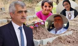 Narin Güran dosyasında yeni perde: Gergerlioğlu "Yargılama baştan yapılmalı"
