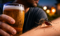 Bilim açıkladı: Sivrisineklerin crush'ı bira içenler