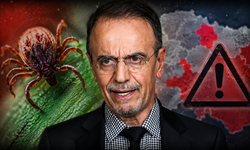 Kene alarmı büyüyor! Prof. Dr. Mehmet Ceyhan kritik illeri tek tek açıkladı