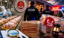 Tavuk sektörüne dev operasyon! 8 ilde düğmeye basıldı, 13 şirkete kayyum atandı