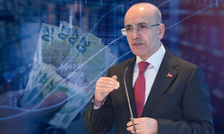 Bakan Şimşek: Dezenflasyon süreci birkaç aylık gecikmeyle devam edecek