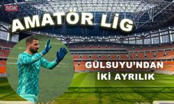Gülsuyu’ndan iki ayrılık