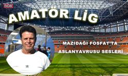 Mazıdağı Fosfat’ta Aslanyavrusu sesleri