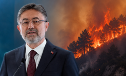 Yangınlarla mücadele sürüyor! Bakan Yumaklı: '110 yangın kontrol altına alındı'