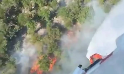 İstanbul, Aydın ve Kütahya'da orman yangını! Müdahale sürüyor