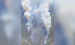 Manisa ve İzmir'de çıkan orman yangınlarına müdahale sürüyor!