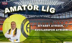 Siyaset ayrıdır, Avcılarspor ayrıdır