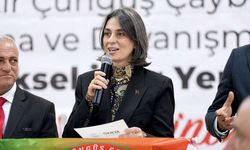 Operasyonda son durum: Üsküdar Belediye Başkanı Sinem Dedetaş adliyeye sevk edildi!