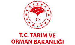 Tarım ve Orman Bakanlığı personel alımı başvurusu ne zaman? Tarım ve Orman Bakanlığı personel alımı başvuru şartları