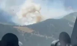 Antalya'da orman yangını! Ekipler sevk edildi, müdahale sürüyor