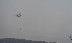 Edremit'te korkutan orman yangını! Havadan ve karadan müdahale ediliyor